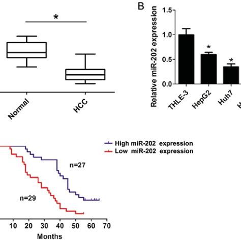 Mir Expression Is Downregulated In Hcc Tissue Samples And Liver