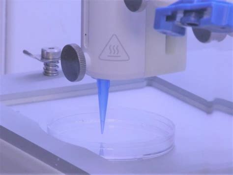 Scientists Can Now 3d Print Living Skin With Blood Vessels