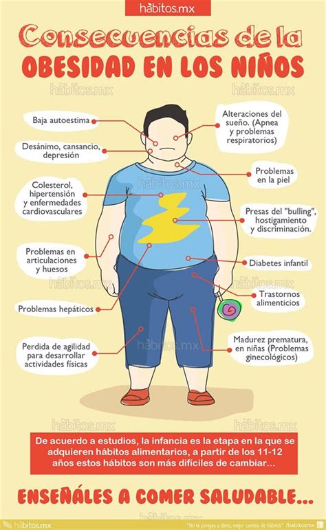 Problemas Y Consecuencias De La Obesidad Bioenciclopedia My Xxx Hot Girl