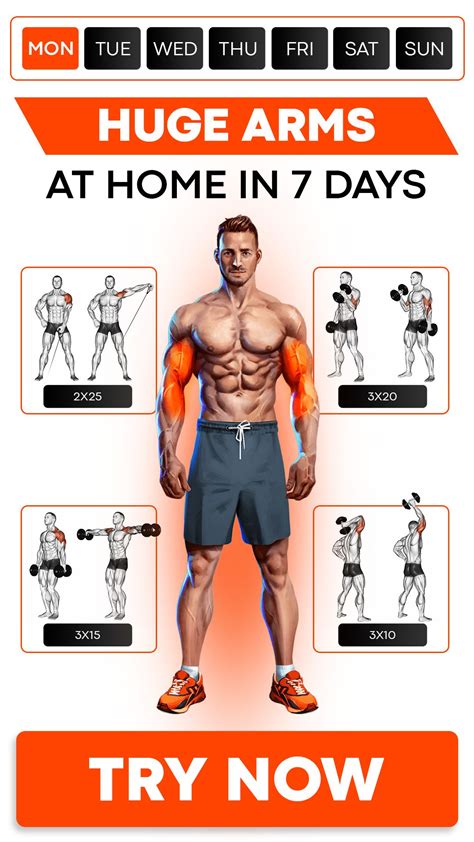 huge arms workout for men get yours arm workout men workout programs gym workout for beginners