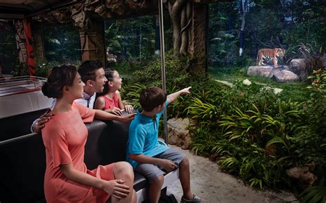 Singapore Night Safari Tickets Tram Ride Included Updated 2022 Headout