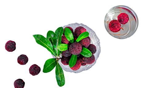 Bayberry Fruit Waxberry Fruit Food Png Transparent Image And Clipart