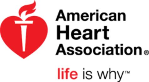 American Heart Association Logo Png Png Image