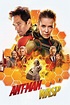 Ant-Man and the Wasp (2018) - Posters — The Movie Database (TMDB)