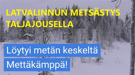 Jakso Latvalinnun Mets Stys Taljajousella Hunting With A Crossbow