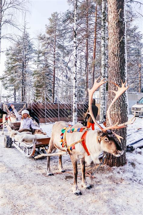 Trip To The Finnish Lapland With Visit Rovaniemi La Elegantia