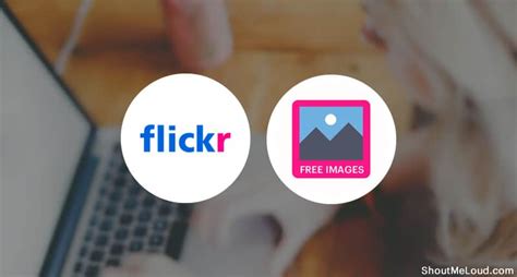 This Is How You Can Use Flickr To Find Free Images For Your Blog
