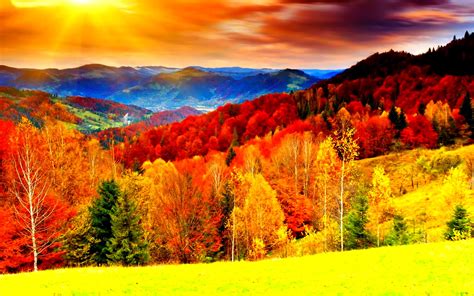 Autumn Fall Season Nature Landscape Leaf Leaves Color