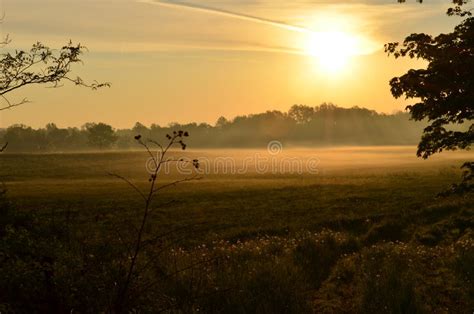 Foggy Sunrise Over A Country Path Through A Hay Field Stock Photo
