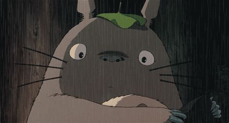 My Neighbor Totoro   Abyss