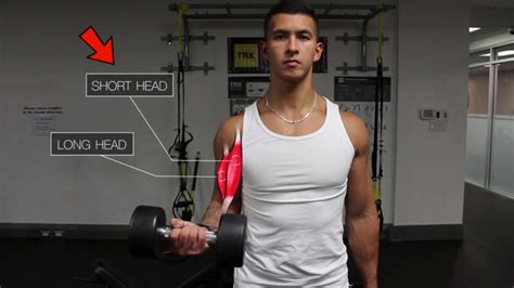 How To Workout Your Biceps With Dumbbells