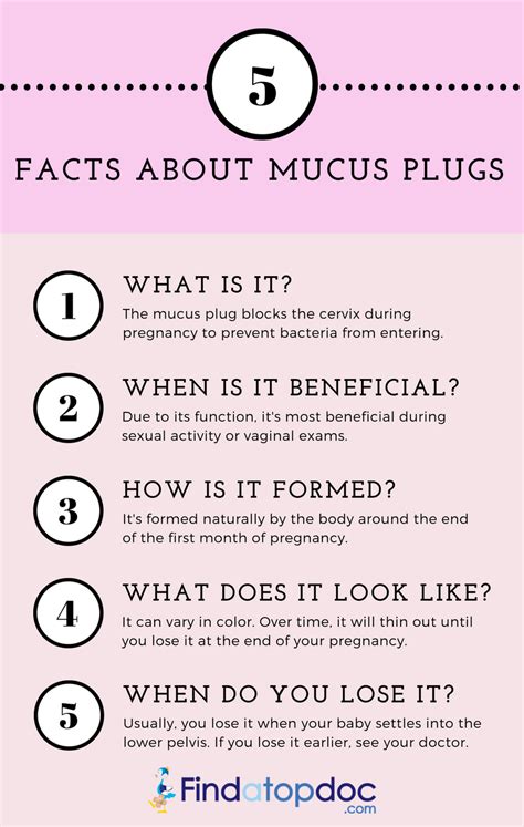 When Does Mucus Plug Form During Pregnancy Your Vaginal Discharge