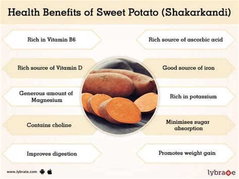 Sweet Potato Shakarkandi Benefits And Its Side Effects Lybrate