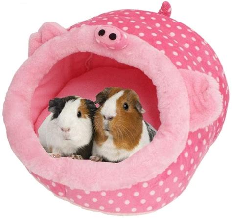 Xelparuc Hedgehog Guinea Pig Bed Accessories Cage Toys Bearded Dragon