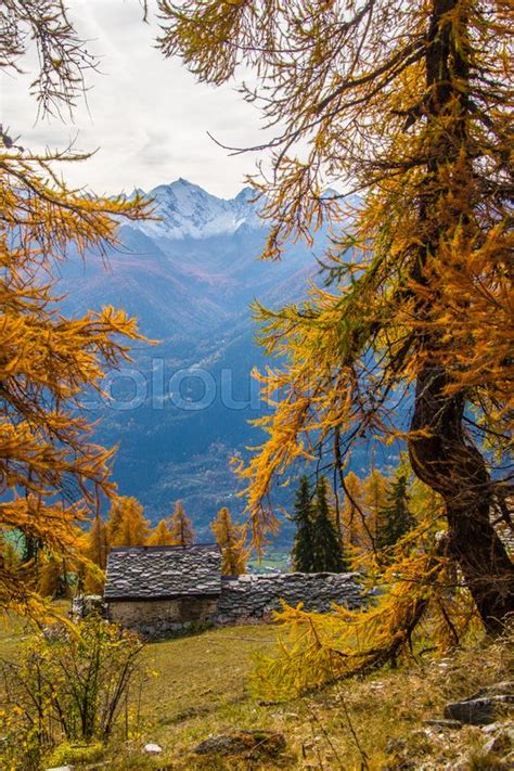 Landscape Of Italian Alps In Autumn Stock Image Colourbox