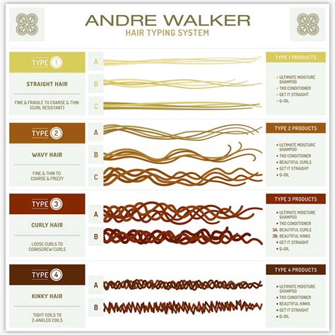 Different Curl Types And How They Work Curl Evolution