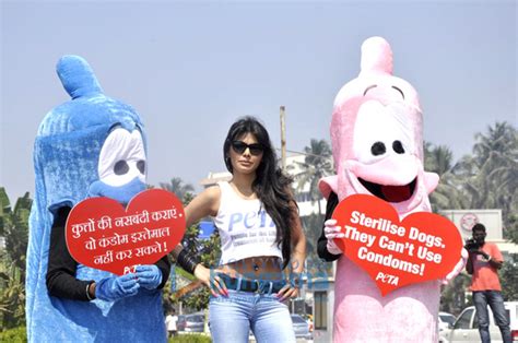 Sherlyn At Petas Safe Sex For Animals Campaign Sherlyn Chopra Images