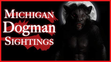 Michigan Dogman Compilation Encounters Dogman Narratives Youtube