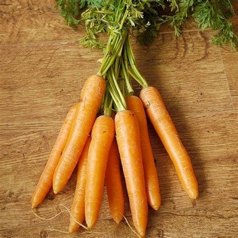 Kuroda Carrot Rare Heirloom 30 Seeds