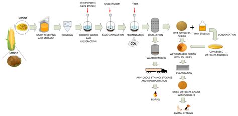 Processes Free Full Text Valorization Of Cereal Byproducts With Supercritical Technology