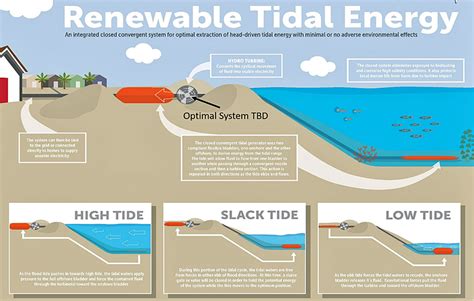 Renewable Tidal Energy System