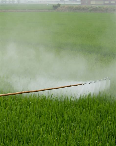 Scientific Panel Advises Epa On Whether Glyphosate Causes Cancer The
