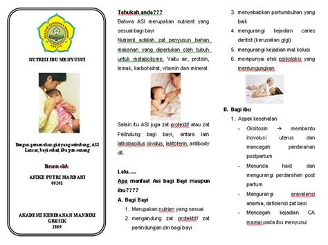 Anike Putri Mardani Leaflet Nutrisi Ibu Menyusui
