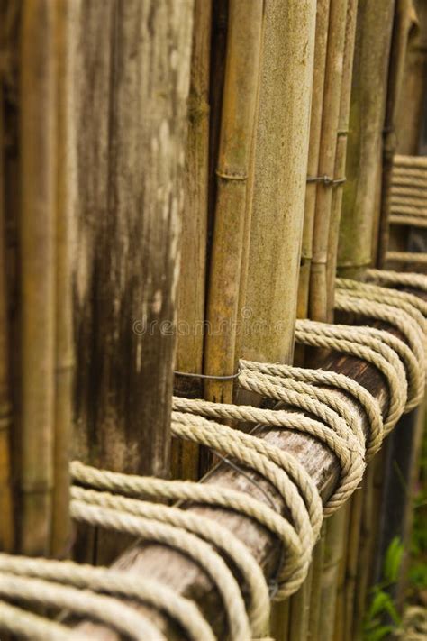 Rope Tied To A Bamboo Fence Stock Photo Image Of Landscape