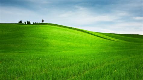 Free download Grassy Hills Wallpapers Grassy Hills Desktop Wallpapers Grassy Hills [1600x1000 