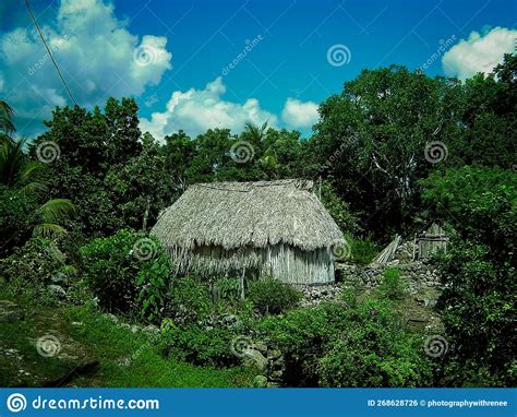 Traditional Mayan Hut Located Near Chichen Itza In The Yucatan