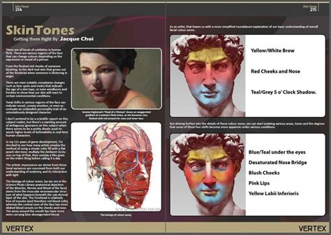 Skin Color Zones Color Sketch Painting Anatomy Art