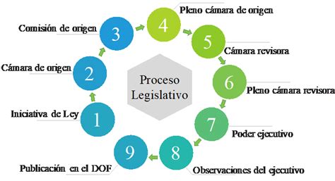 7 Etapas Del Proceso Legislativo Element