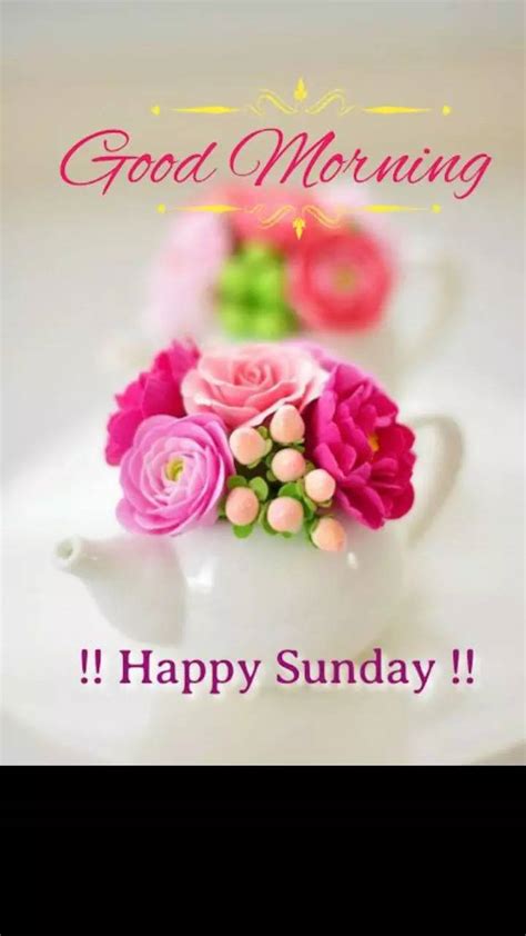 Full 4k Collection Of Top 999 Amazing Happy Sunday Good Morning Images