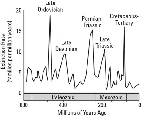 Major Extinction Events In Earth’s History Dummies