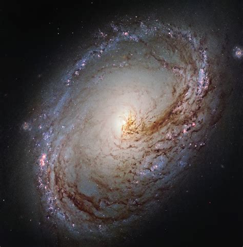 Messier 96 The Ngc 3368 Spiral Galaxy Universe Today