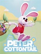 Here Comes Peter Cottontail (TV Movie 1971) - IMDb