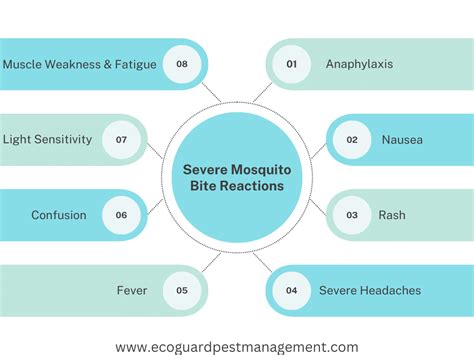 Skeeter Syndrome Mosquito Bite Allergy Reactions