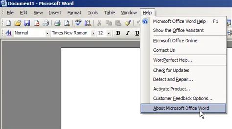 What Version Of Word Do I Have