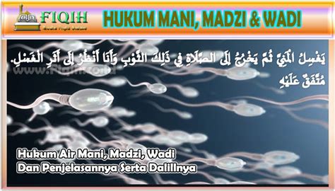 Najis mutawassithah dibagi menjadi dua :najis ainiyah : Hukum Air Mani, Madzi, Wadi Dan Penjelasannya Serta Dalilnya