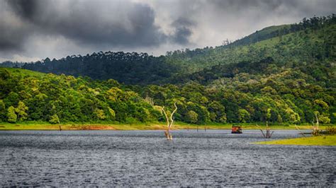 Weather for uk, ireland and the world. Thekkady In December: Things To Do, Places To Visit And ...