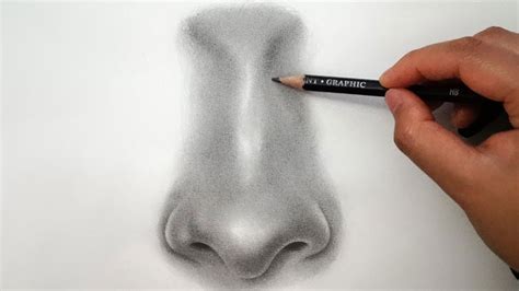 How to draw a nose for beginners with these tutorials that will help you gambar png