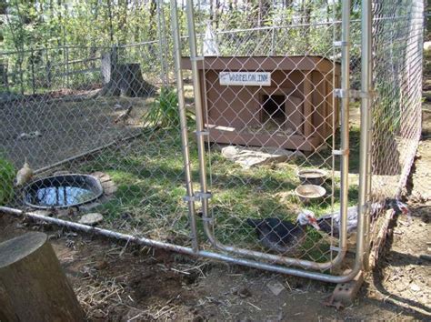 How do you build a duck house? Duck housing - HELP NEED PIX!!! | BackYard Chickens