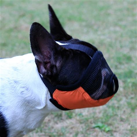Doglemi Mesh Short Snout Dog Muzzle For Pet Waterproof Nylon Dog Mouth