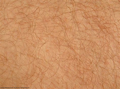 Human Body Skin Textures