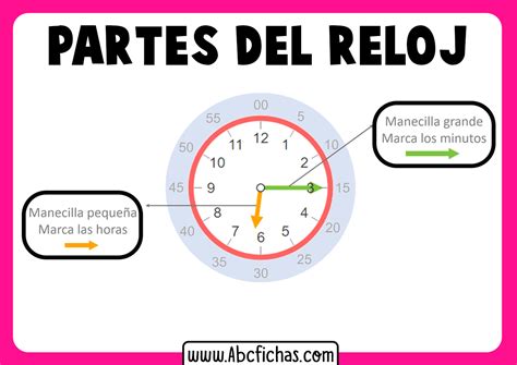 Partes Del Reloj Aprendiendo La Hora Y La Estructura Del Reloj
