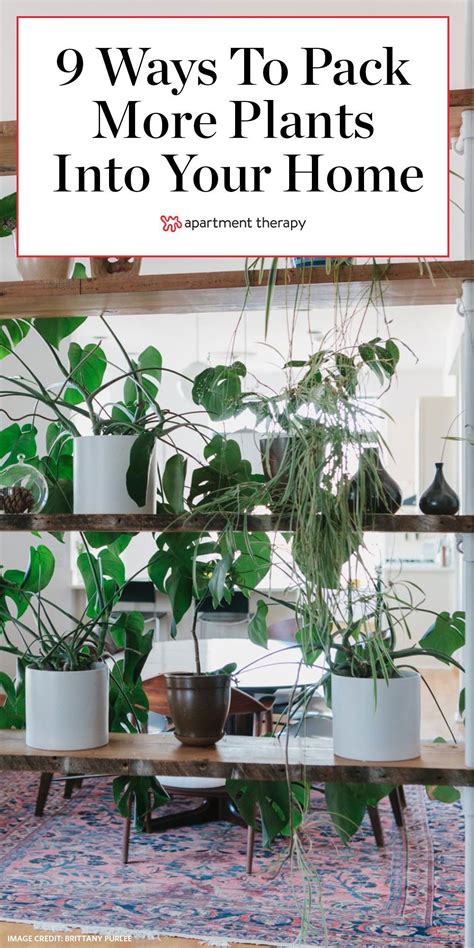 Vertical Plant Displays Space Saving Ideas For Your Home