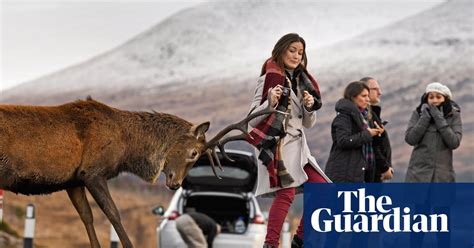 The 20 Photographs Of The Week Art And Design The Guardian