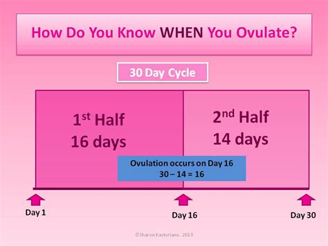 How To Calculate When You Ovulate Pregnant In The City
