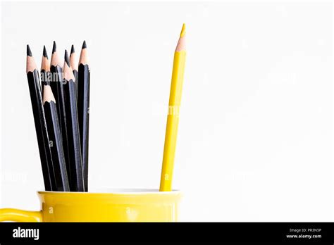 Yellow Pencil Separated In Yellow Cup With Black Pencils Still Life