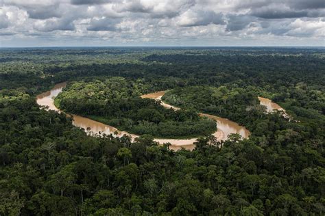 Estudio De La Nasa Halla Que La Capacidad De Los Bosques Tropicales